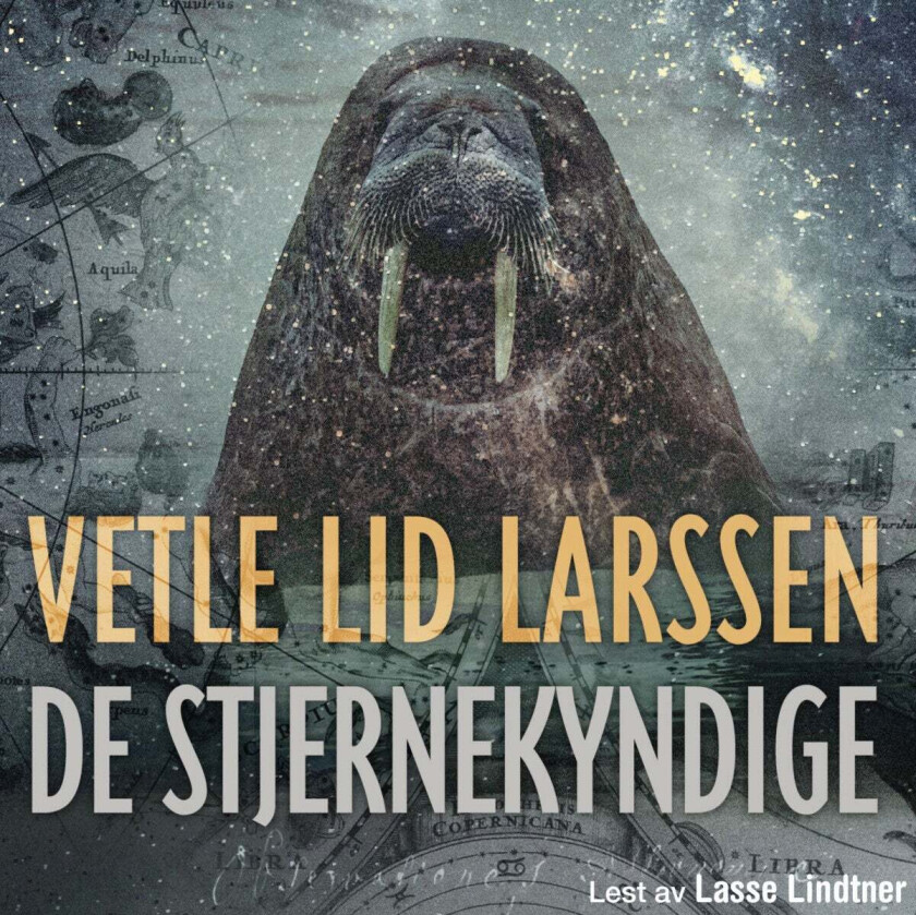 De stjernekyndige av Vetle Lid Larssen