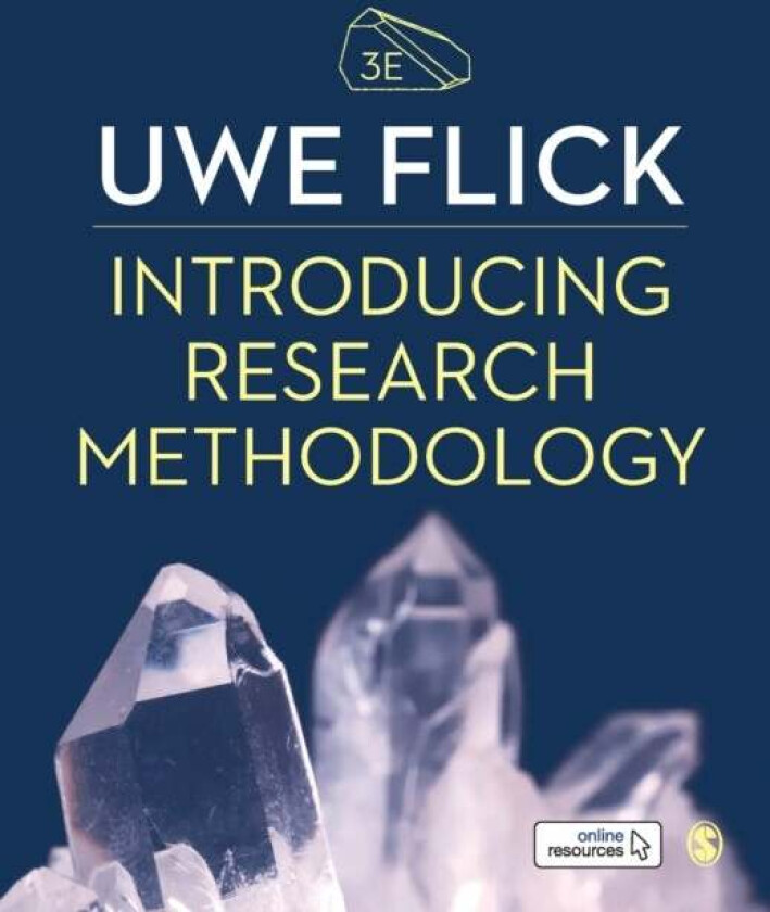 Introducing Research Methodology av Uwe Flick