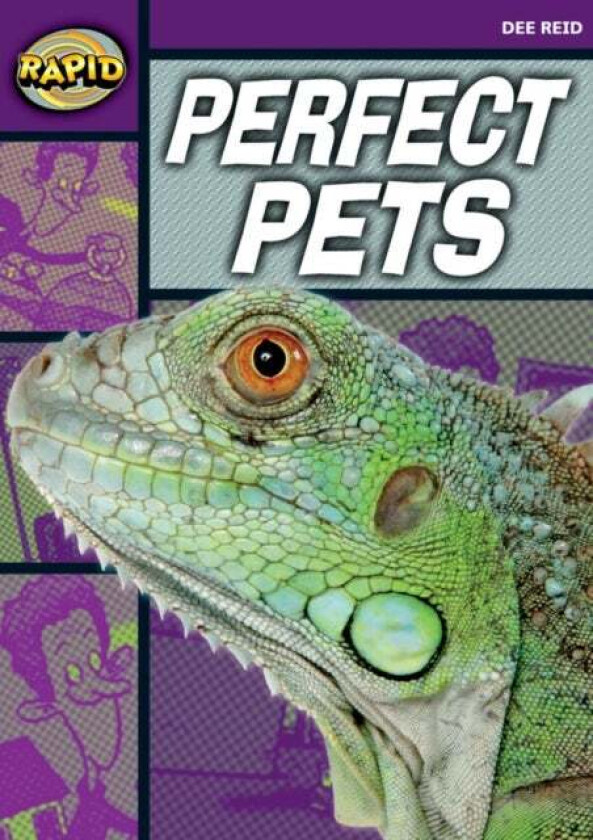 Rapid Reading: Perfect Pets (Starter Level 2B) av Dee Reid