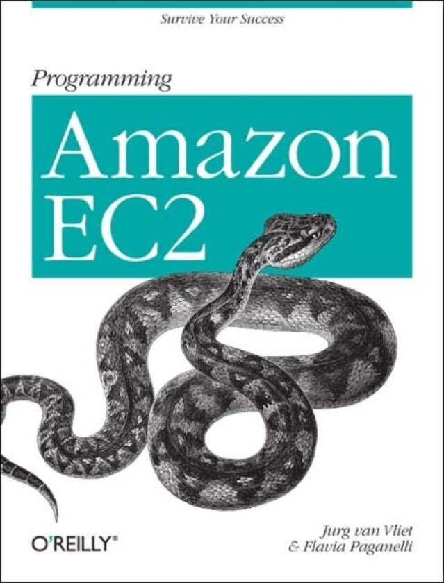 Programming Amazon EC2 av Jurg Van Vliet