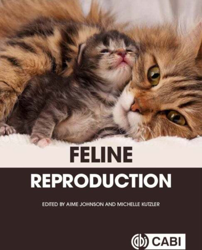 Feline Reproduction