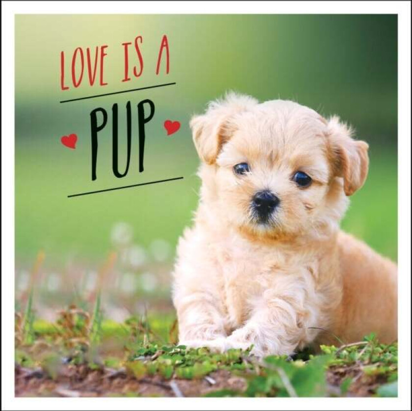 Love is a Pup av Charlie Ellis