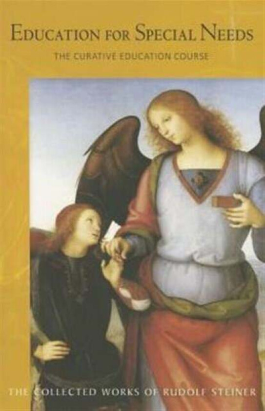 Education for Special Needs av Rudolf Steiner
