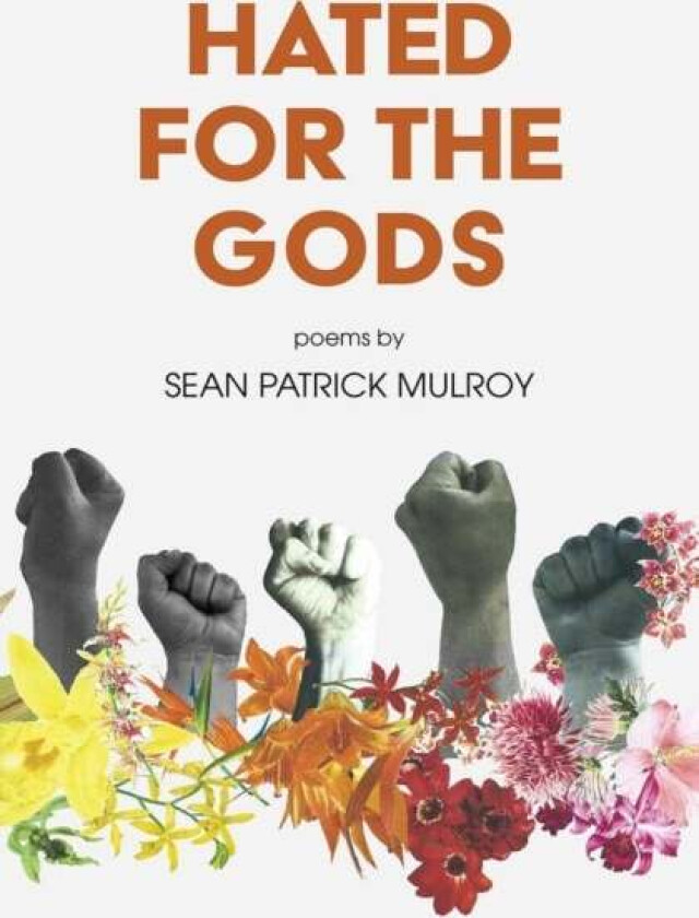 Hated For The Gods av Sean Patrick Mulroy