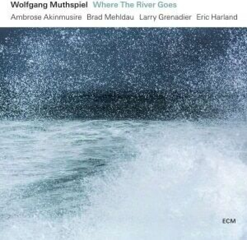 Muthspiel Wolfgang - Where The River Goes (Lp)
