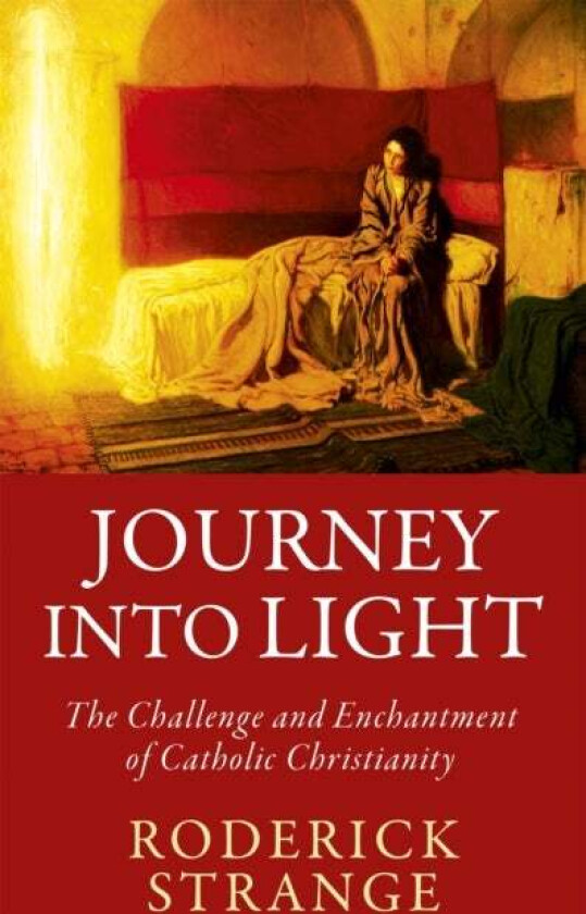 Journey into Light av Roderick Strange