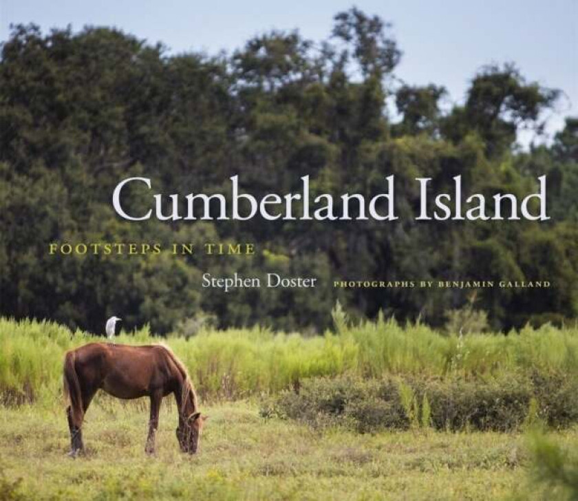 Cumberland Island av Stephen Doster
