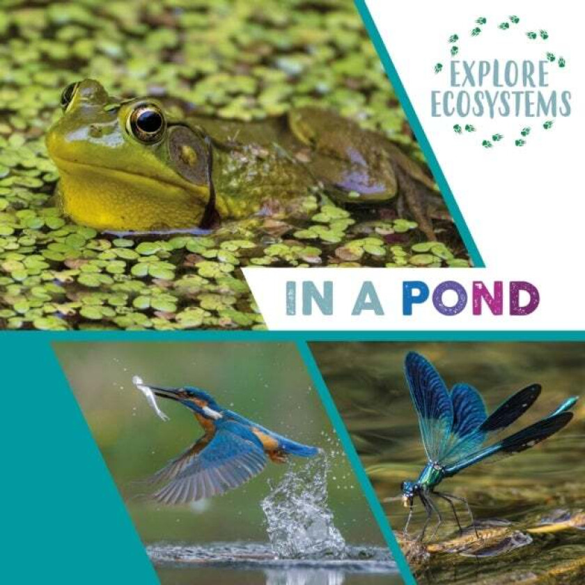 Explore Ecosystems: In a Pond av Sarah Ridley