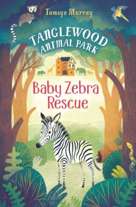 Baby Zebra Rescue av Tamsyn Murray