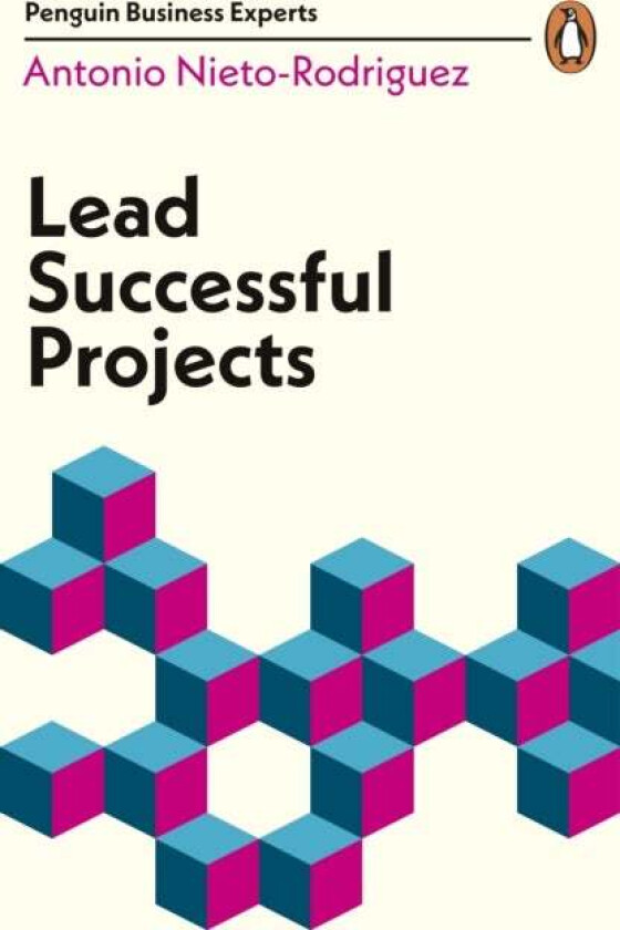 Lead Successful Projects av Antonio Nieto-Rodriguez