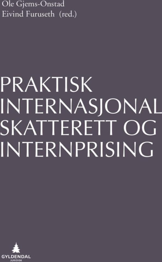 Praktisk internasjonal skatterett og internprising