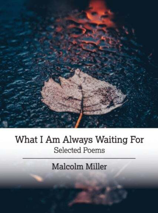 What I Am Always Waiting For av Malcolm Miller