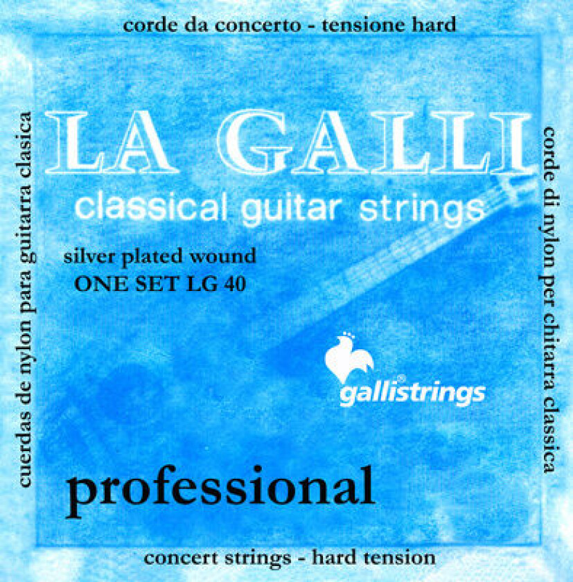 LG40 La Galli Classical Guitar