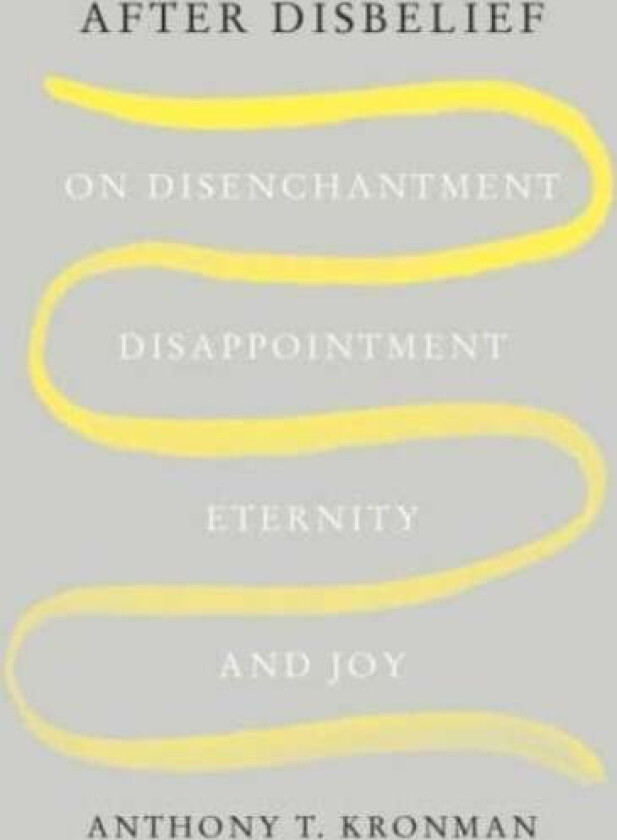 After Disbelief av Anthony T. Kronman