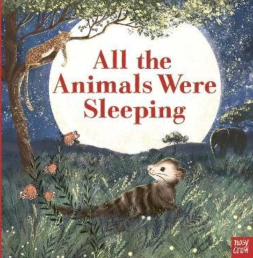 All the Animals Were Sleeping av Clare Helen Welsh