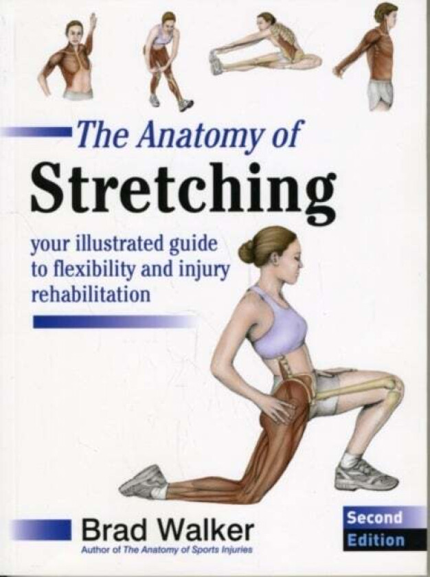 The Anatomy of Stretching av Brad Walker