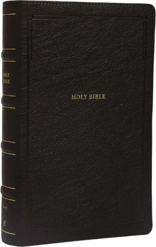 NKJV, End-of-Verse Reference Bible, Personal Size Large Print, Leathersoft, Black, Thumb Indexed, Re av Thomas Nelson