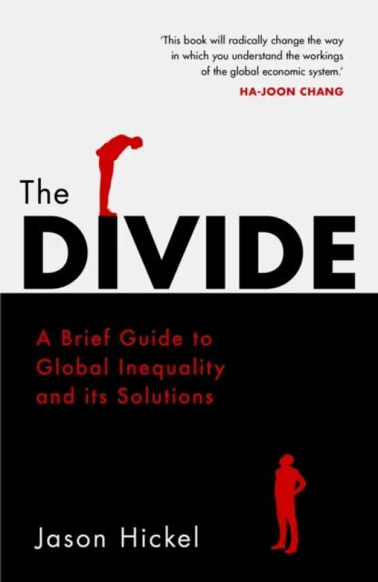 Divide, The av Jason Hickel
