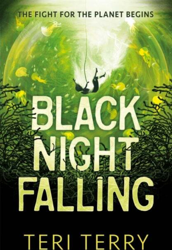 Black Night Falling av Teri Terry