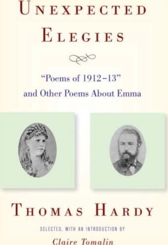 Unexpected Elegies av Thomas Hardy
