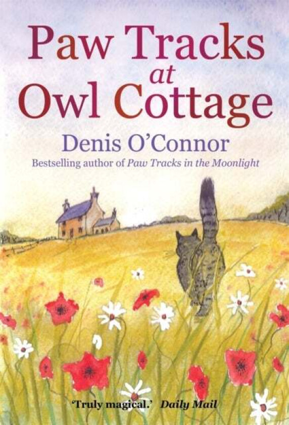 Paw Tracks at Owl Cottage av Denis John O'Connor