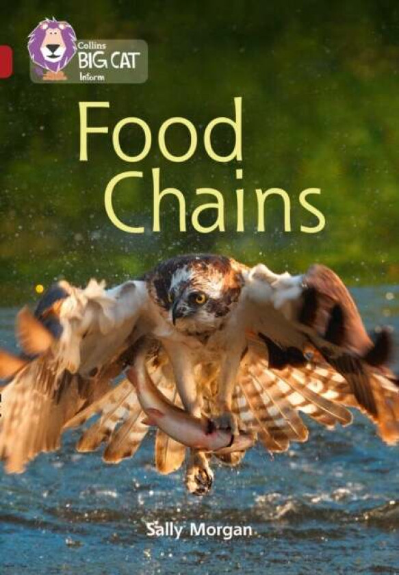 Food Chains av Sally Morgan