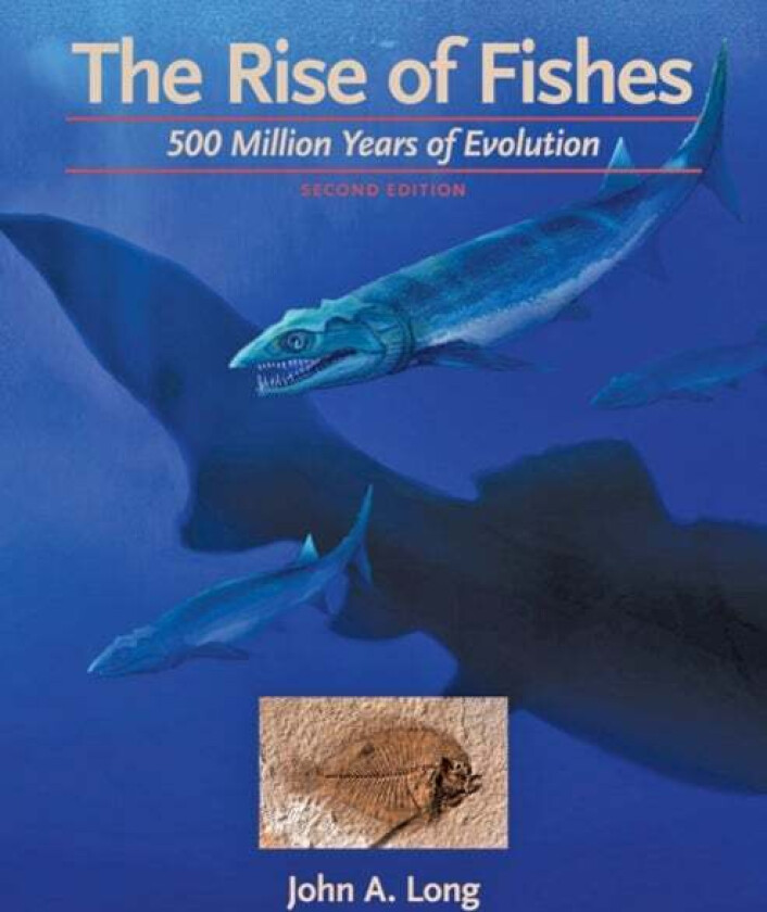 The Rise of Fishes av John A. (Strategic Professor in Palaeontology Flinders University) Long