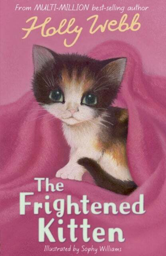 The Frightened Kitten av Holly Webb