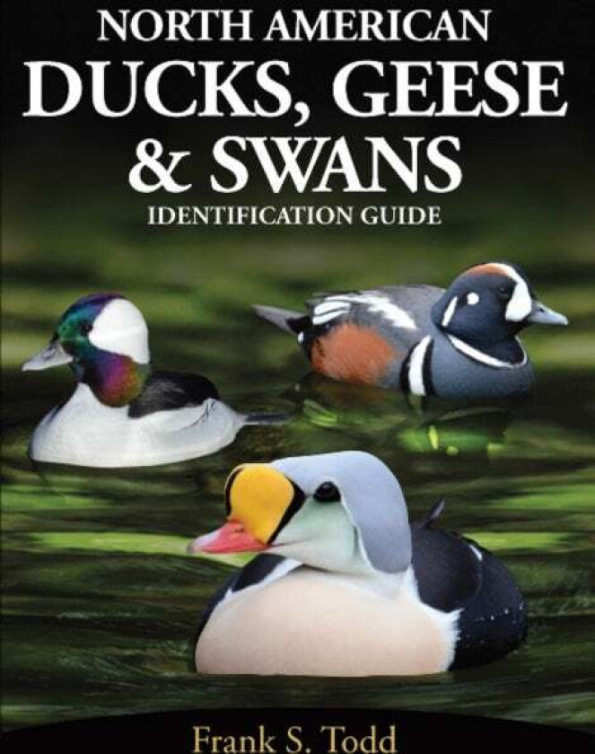 North American Ducks, Geese and Swans av Frank S Todd
