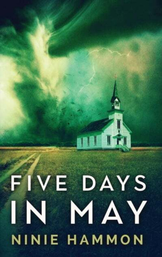 Five Days In May av Ninie Hammon