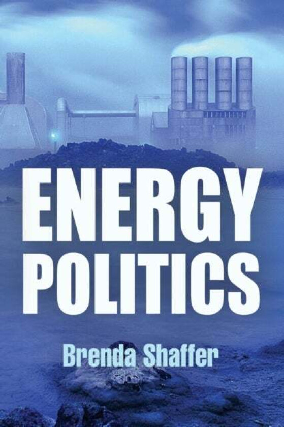 Energy Politics av Brenda Shaffer
