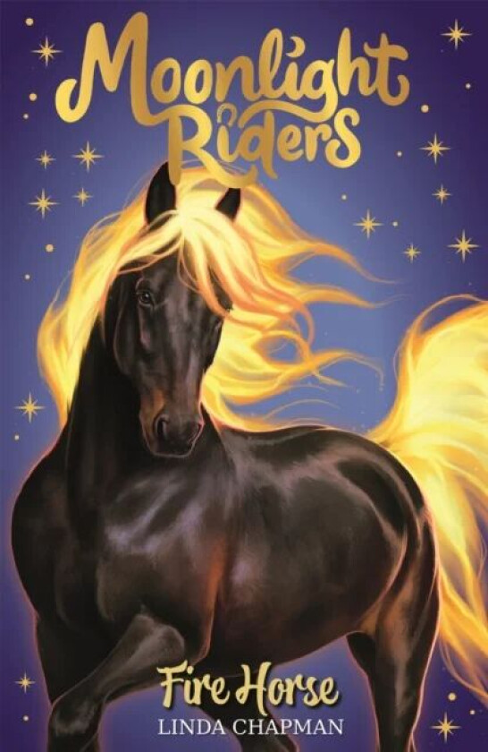 Moonlight Riders: Fire Horse av Linda Chapman
