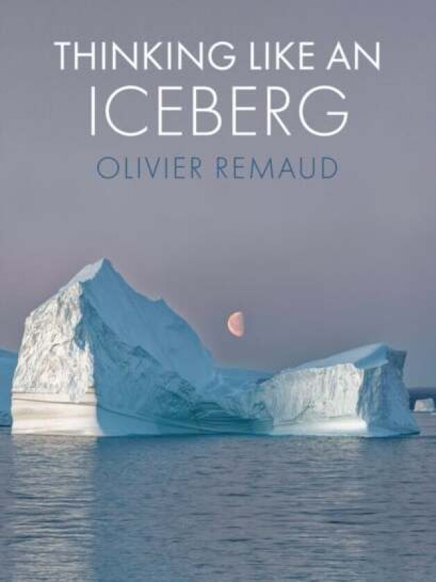 Thinking Like an Iceberg av Olivier Remaud