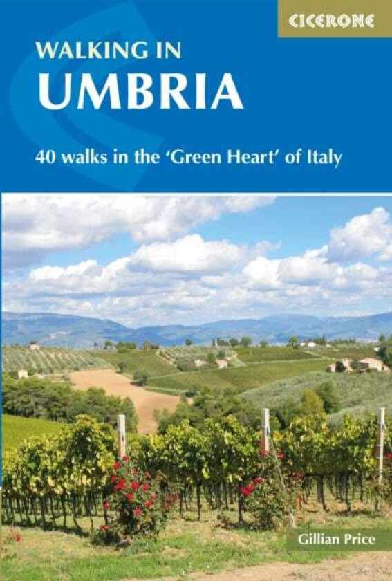 Walking in Umbria av Gillian Price