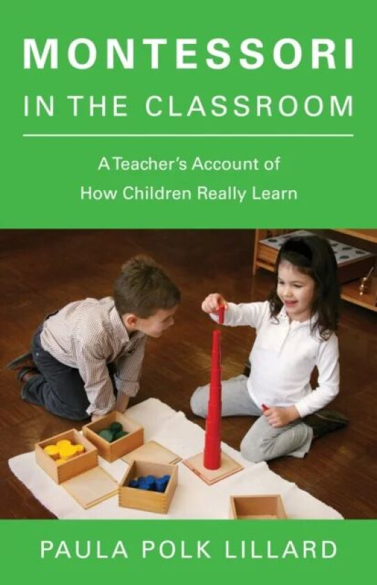Montessori in the Classroom av Paula Polk Lillard