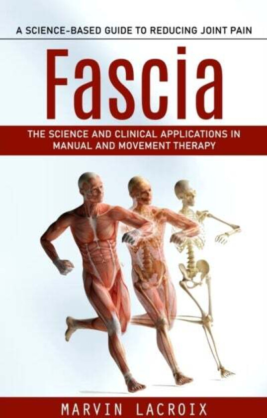 Fascia Av Marvin Lacroix