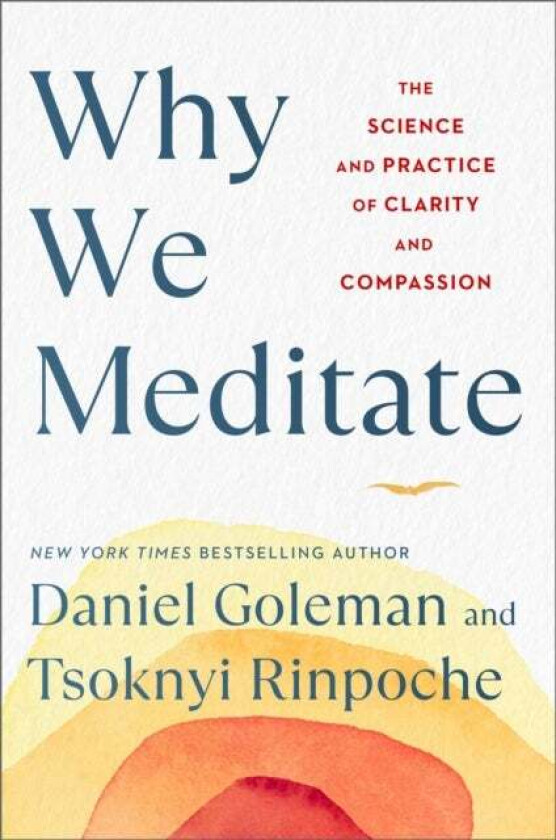 Why We Meditate av Daniel Goleman, Tsoknyi Rinpoche