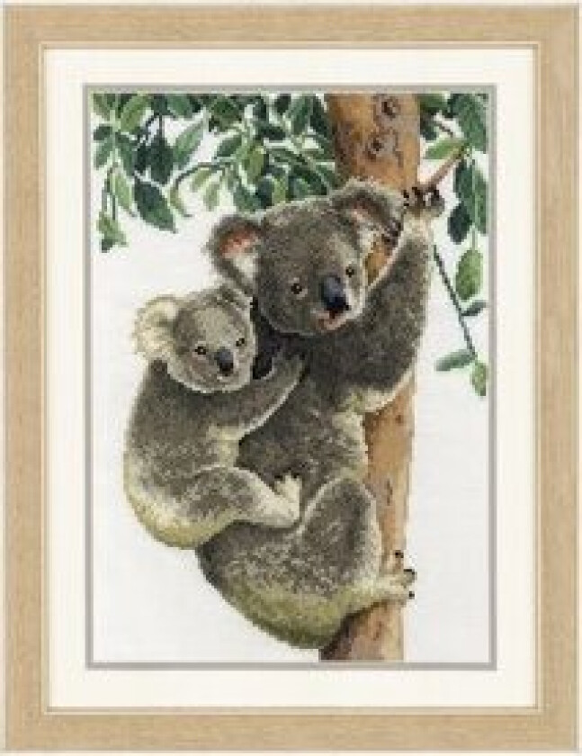 Broderipakke Bilde Koala