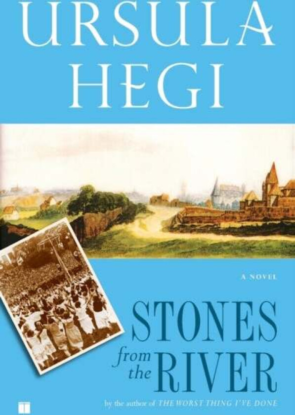 Stones from the River av Ursula Hegi