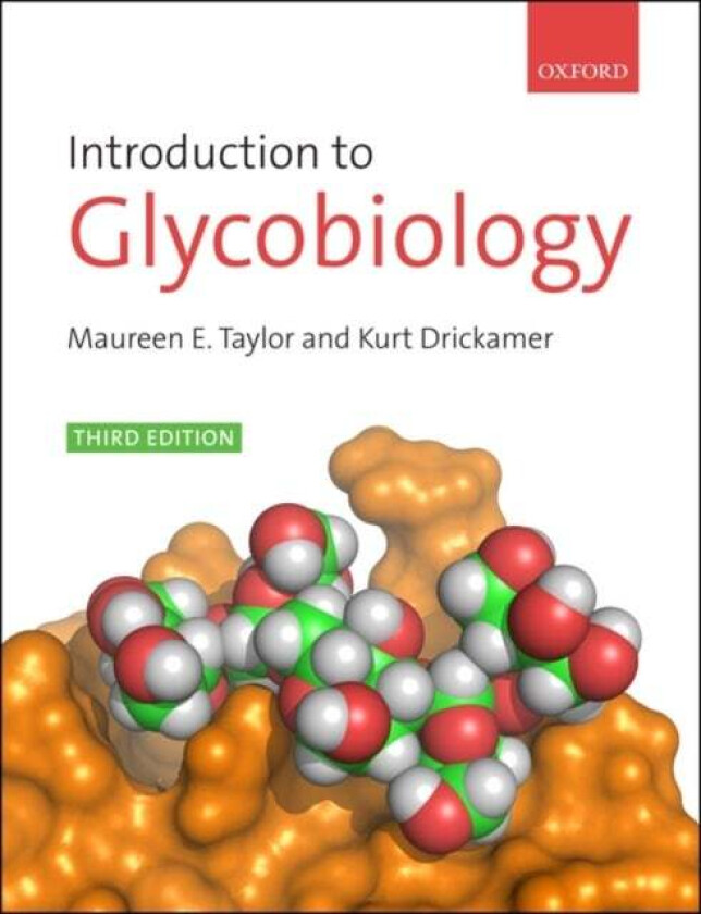 Introduction to Glycobiology av Maureen E. (Imperial College London and Exeter College Oxford) Taylor, Kurt (Imperial College London) Drickamer