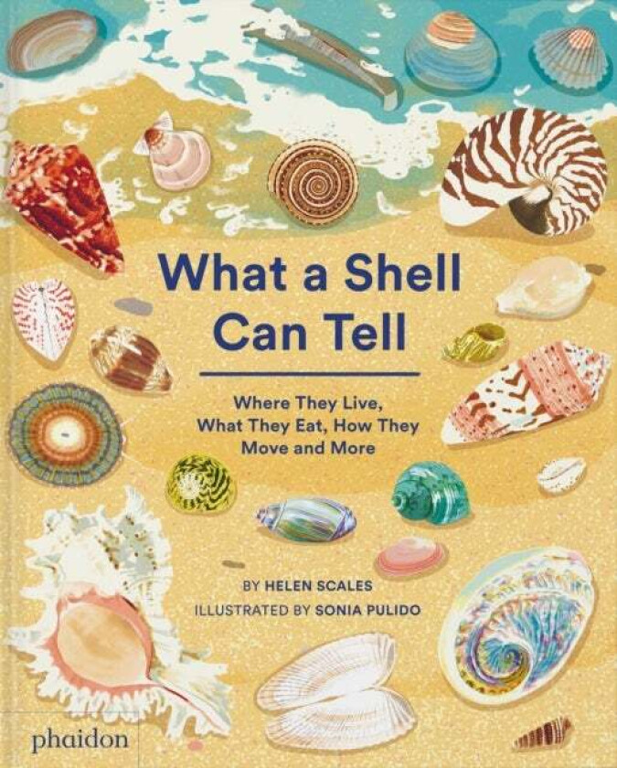 What A Shell Can Tell av Helen Scales