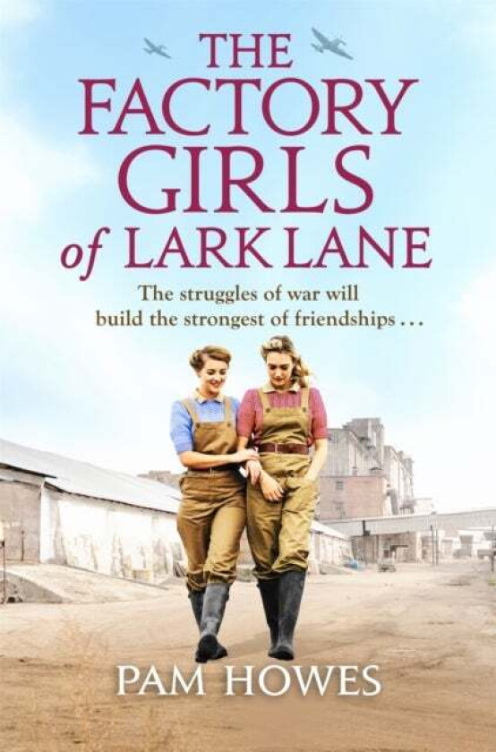The Factory Girls of Lark Lane av Pam Howes
