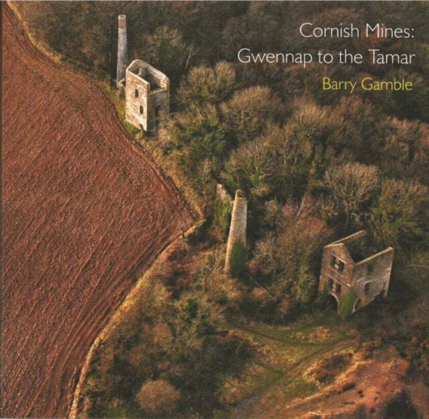 Cornish Mines av Barry Gamble