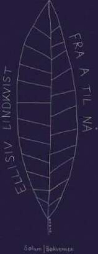 Fra a til nå av Ellisiv Lindkvist