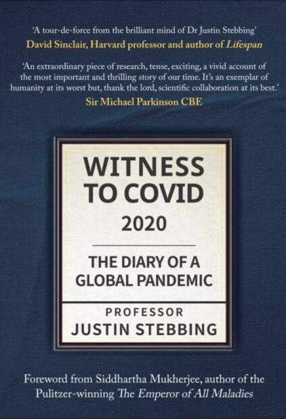 Witness to Covid: 2020 av Justin Stebbing