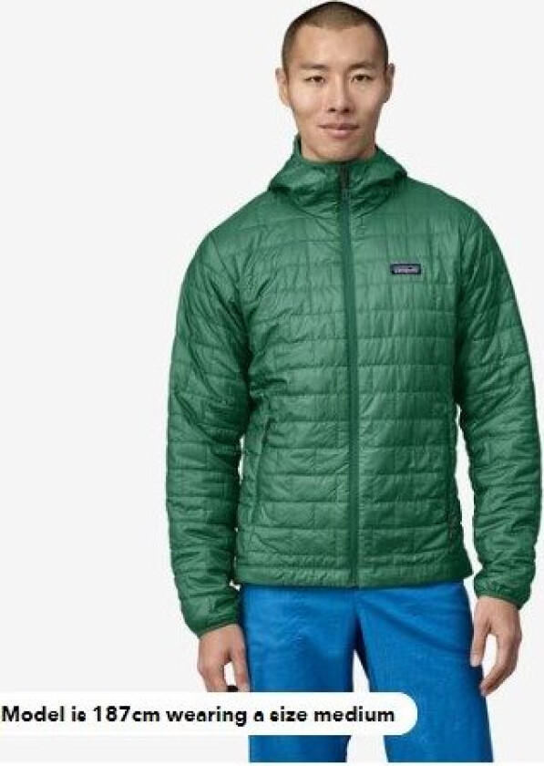 Men's Nano Puff Hoody M, Conifer Green