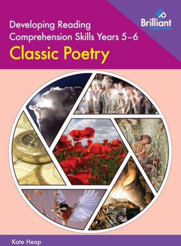 Developing Reading Comprehension Skills Year 5-6: Classic Poetry av Kate Heap