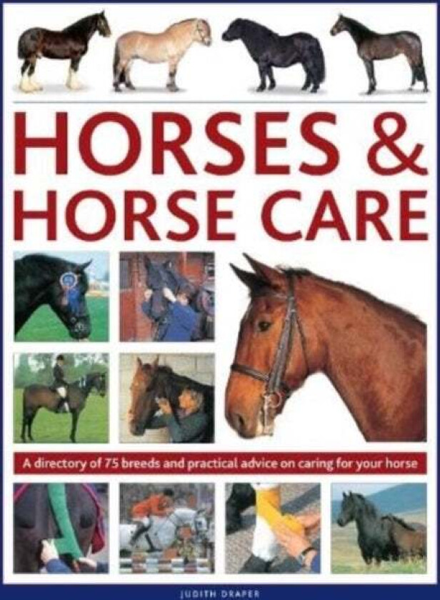 Horses & Horse Care av Judith Draper