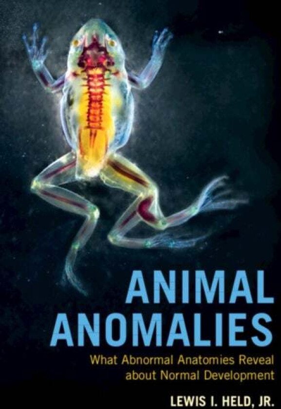 Animal Anomalies av Jr Lewis I. (Texas Tech University) Held