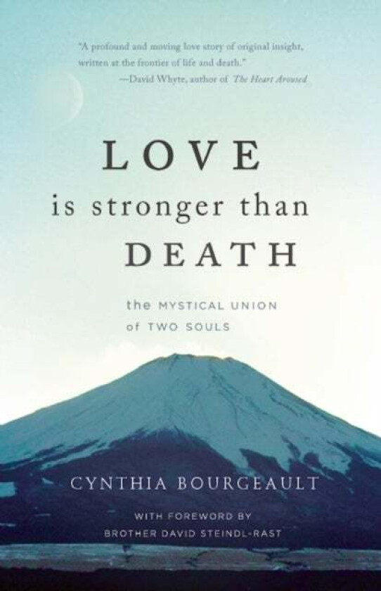 Love is Stronger than Death av Cynthia Bourgeault